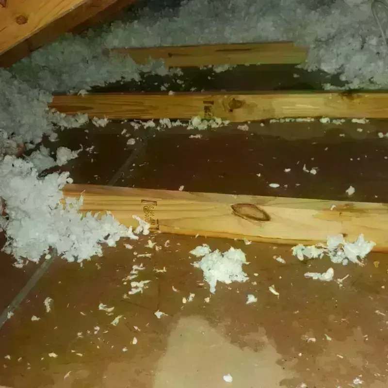 Attic Water Damage in Athena, OR